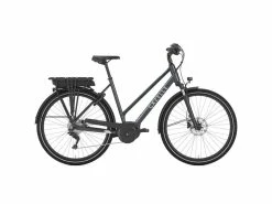 Gazelle Medeo T9 – Grey 55 Cm
